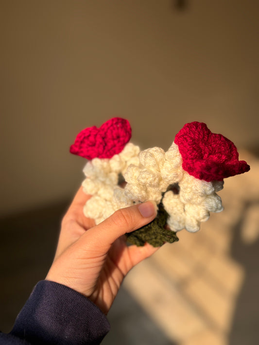 Crochet Baby gajra pair