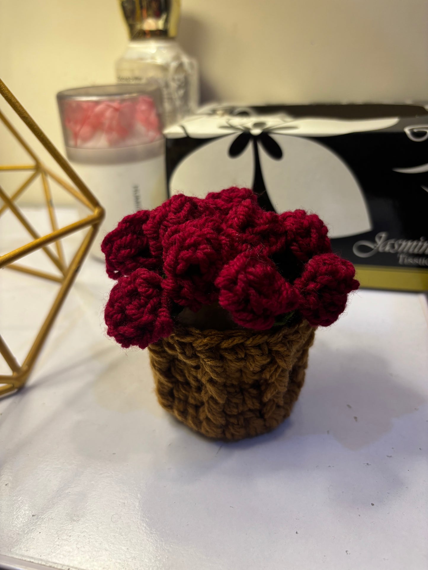 Crochet mini coaster + pot