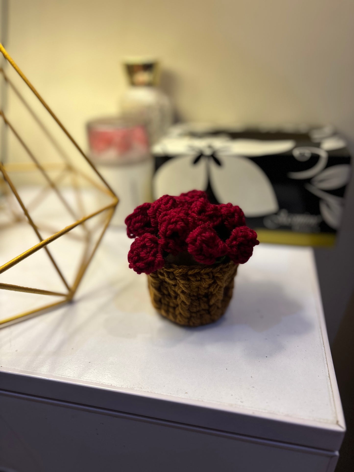 Crochet mini coaster + pot