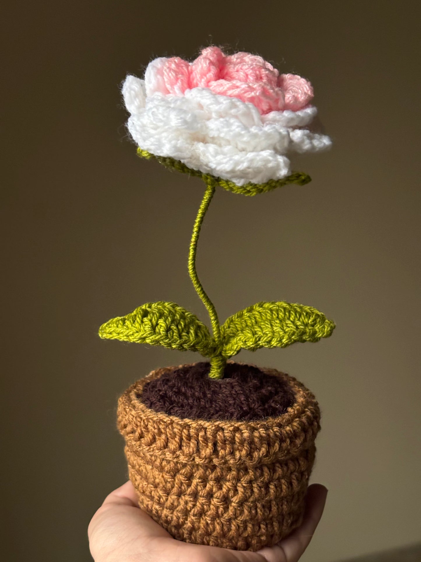 Crochet ombre rose pot