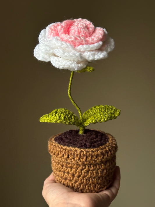 Crochet ombre rose pot
