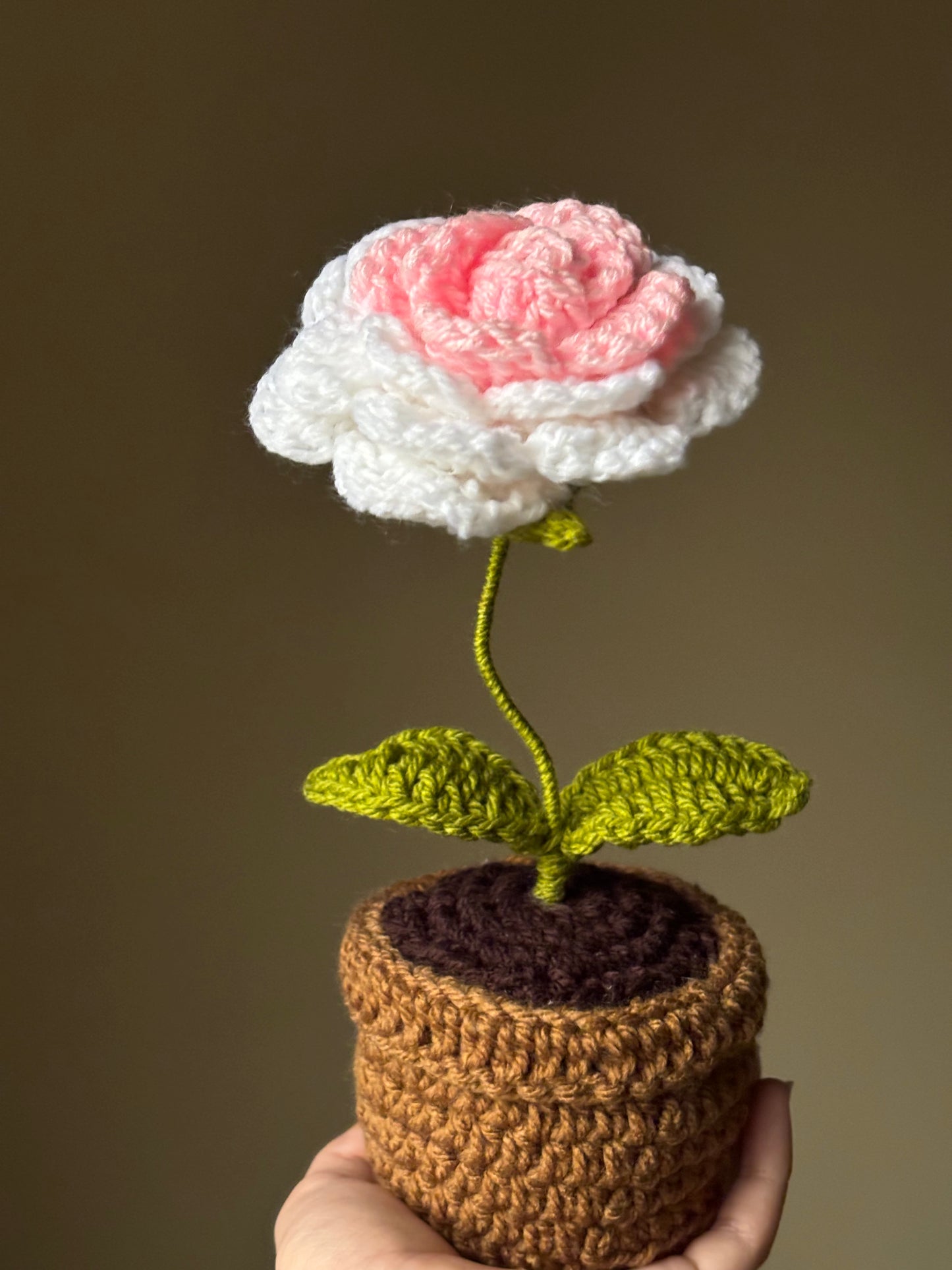Crochet ombre rose pot