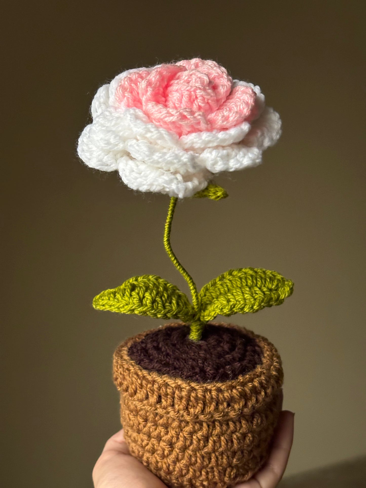 Crochet ombre rose pot
