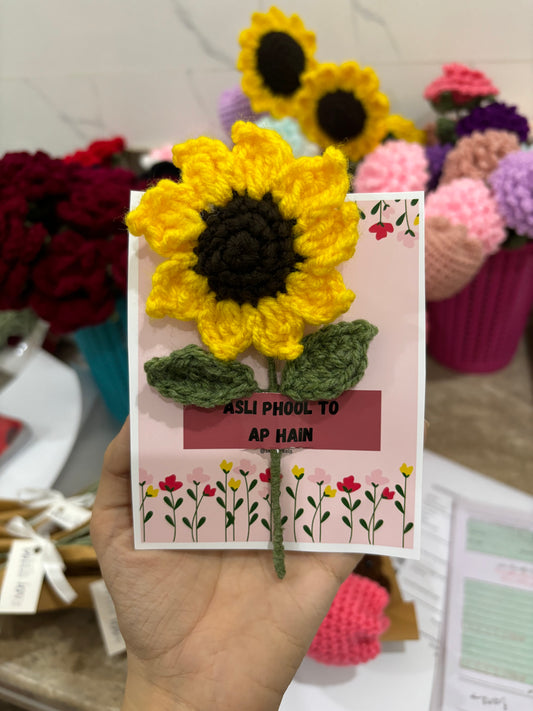 Gift cards( Random tulip colour)