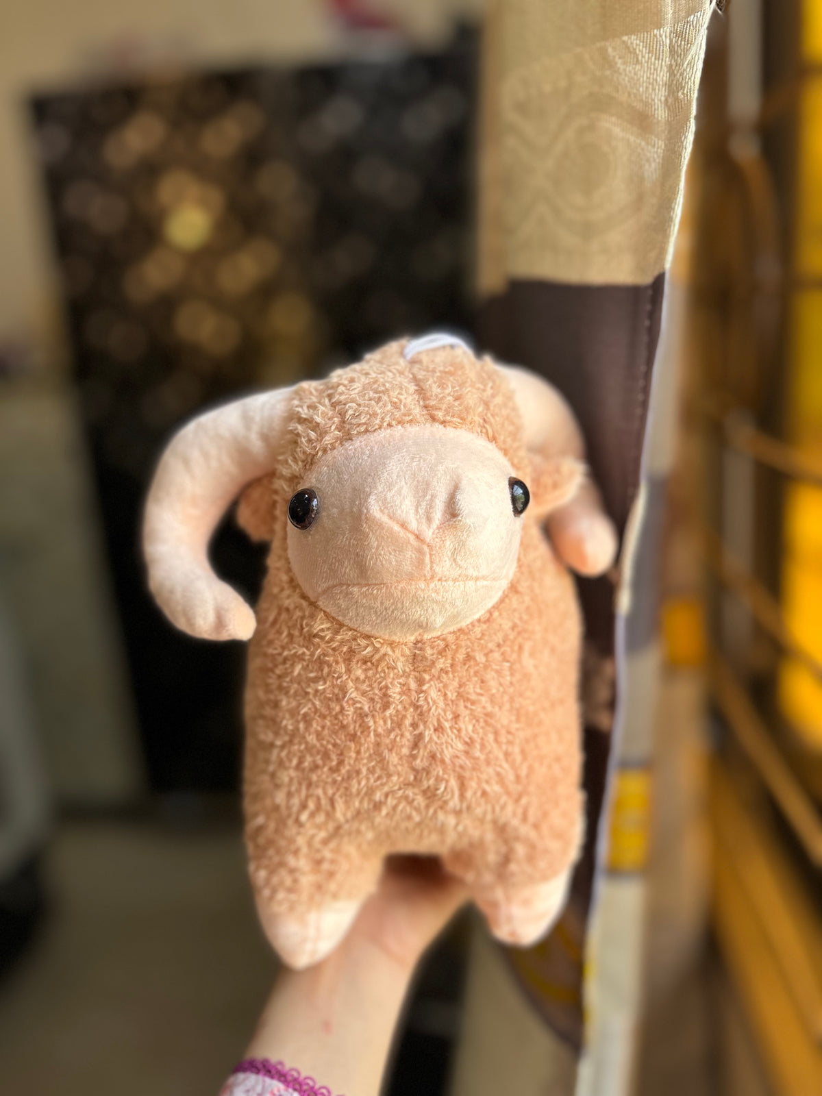 Sheep plushie